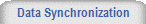 Data Synchronization